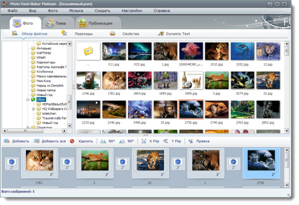 AnvSoft Photo Flash Maker Platinum 5.46