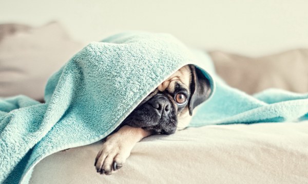 New Mixed HD Wallpapers Pack 375