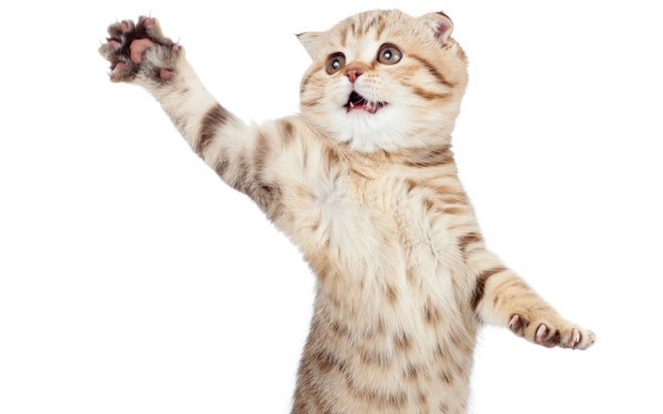 New Mixed HD Wallpapers Pack 232