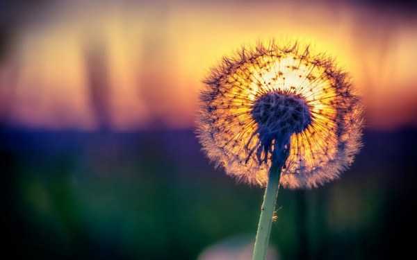 New Mixed HD Wallpapers Pack 242