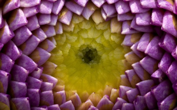 New Mixed HD Wallpapers Pack 173