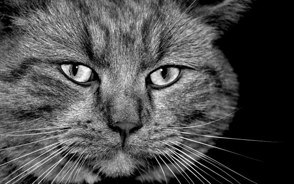 New Mixed HD Wallpapers Pack 174