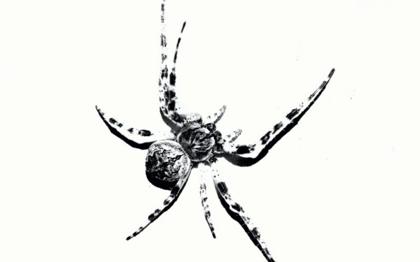 Best Mixed Wallpapers Pack #341-342