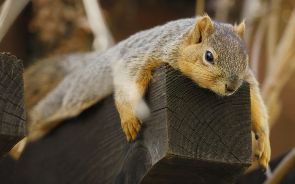 Best Mixed Wallpapers Pack #357-358