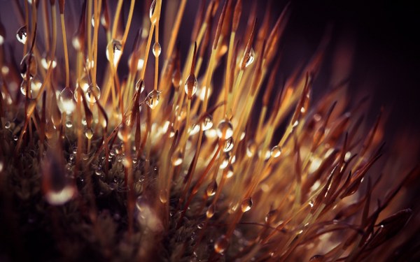 New Mixed HD Wallpapers Pack 211