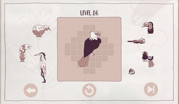 Birds: Organized Neatly