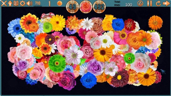 Clutter 17: Flower Power Collector's Edition