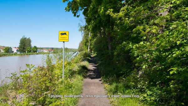 Последнее пристанище Эймоса Грина. Расследование Кэрол Рид