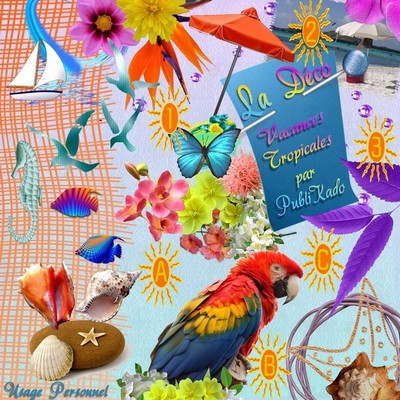 Тропический отпуск