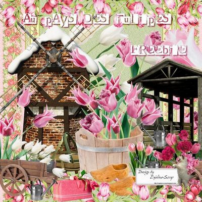 В стране тюльпанов