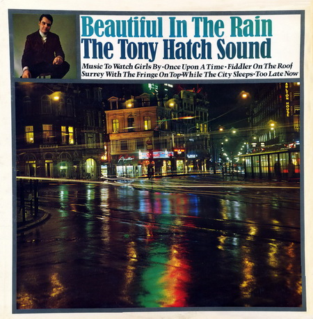 TonyHatchSound_BeautifulInTheRain