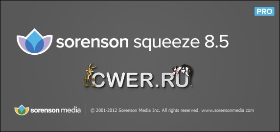 Sorenson Squeeze Pro