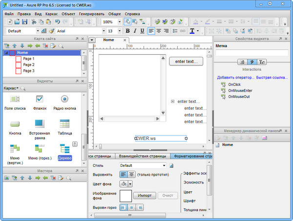 Axure RP Pro 6.5