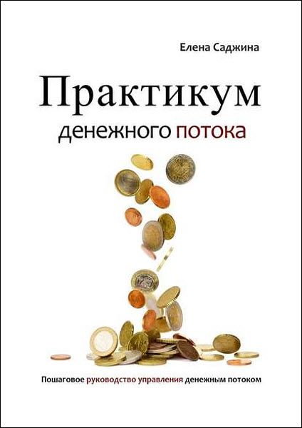 Елена Саджина. Практикум денежного потока. Пошаговое руководство управления денежным потоком