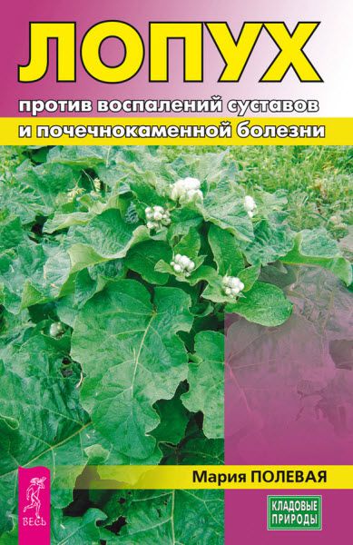 Мария Полевая. Лопух против воспалений суставов и почечнокаменной болезни