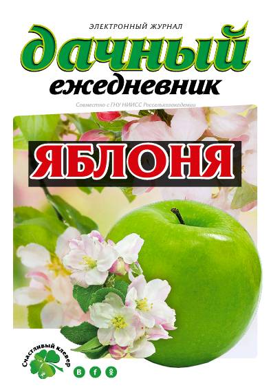 Дачный ежедневник (2017)