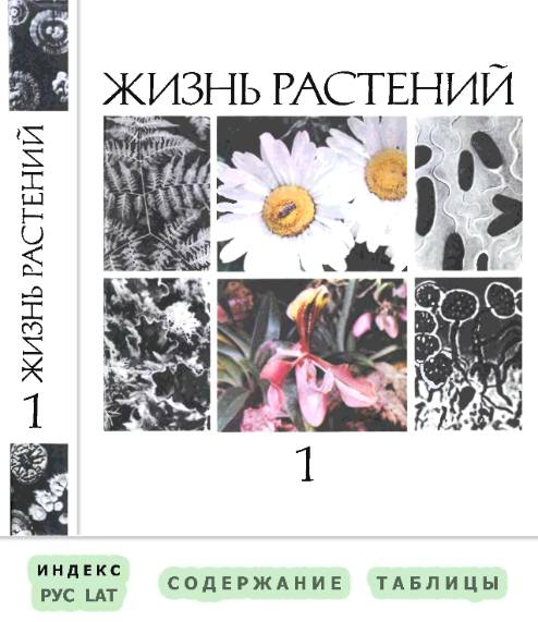 Жизнь растений. Бактерии и актиномицеты