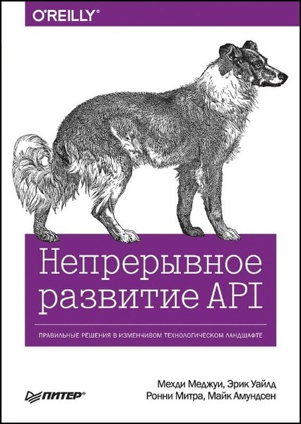 Мехди Меджуи. Непрерывное развитие API. Правильные решения в изменчивом технологическом ландшафте